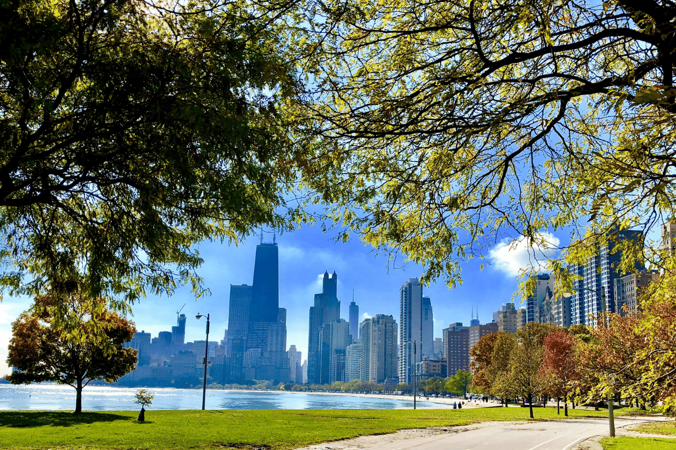 Chicago Illinois park with trees and city skyline in the background