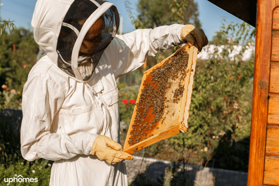 Beekeeper in a bee protection suit with protective eyewear and lots of bees