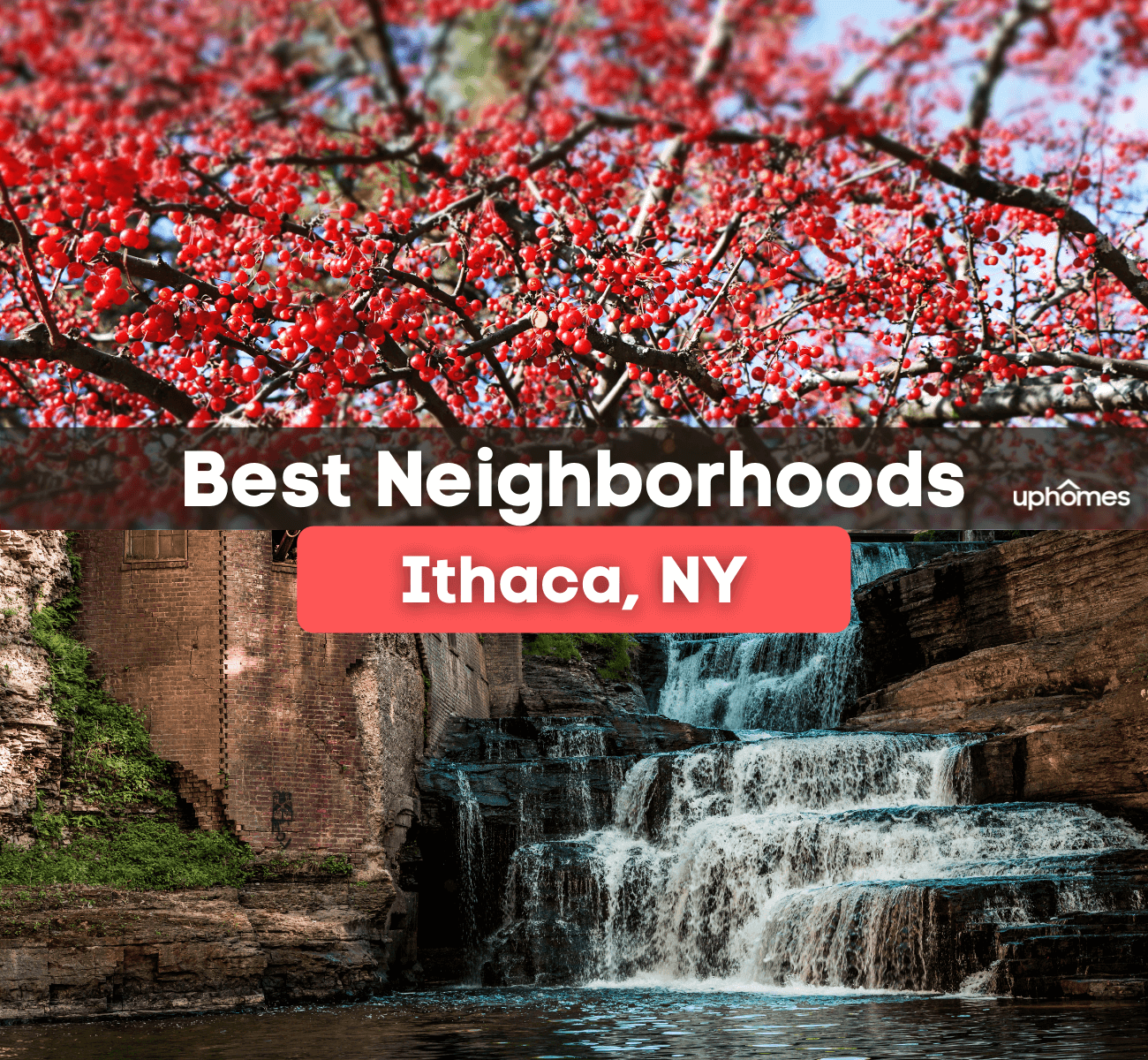 Best Neighborhoods in Ithaca, NY - Here are the Best Places to Live in Ithaca