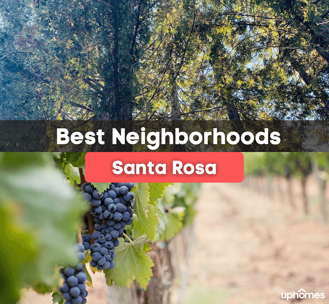 Best Neighborhoods in Santa Rosa - Here are the best places to live in Santa Rosa, CA!
