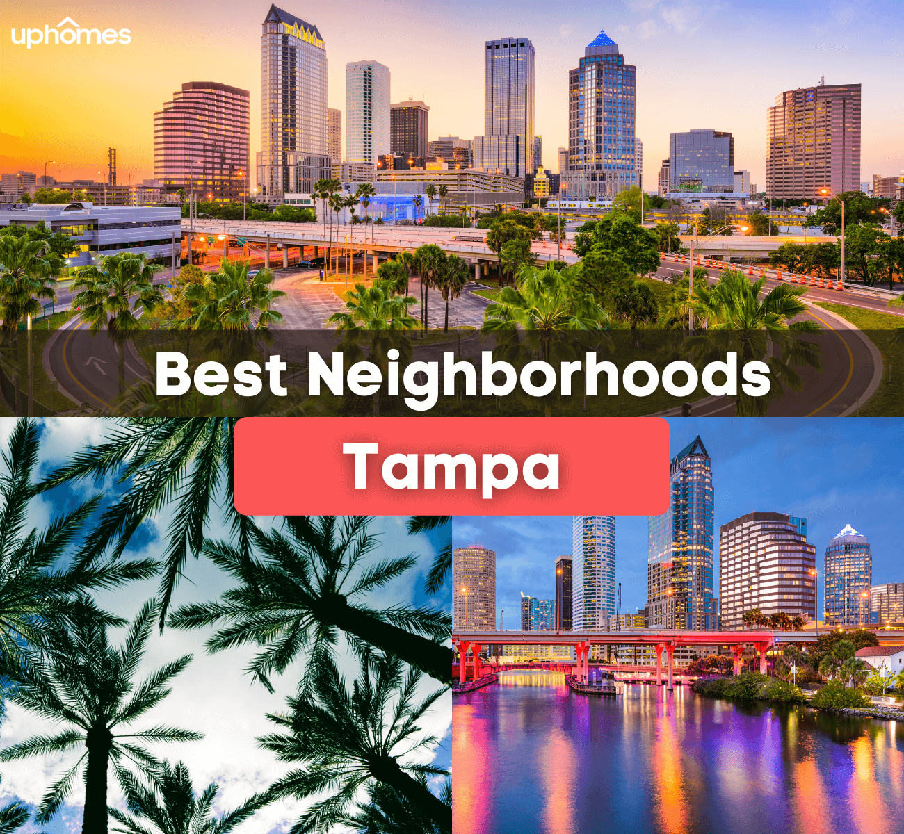 13 Best Neighborhoods In and Around Tampa, FL