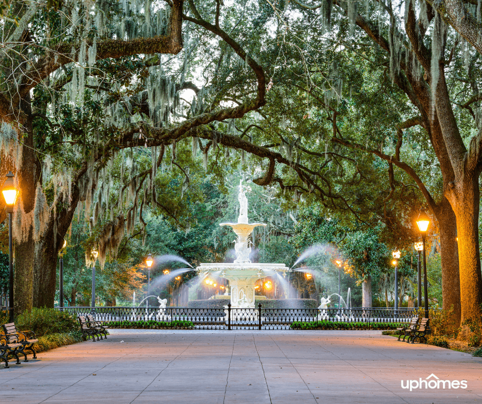 Georgia Wheeping Willow trees in a park with a beautiful water fountain