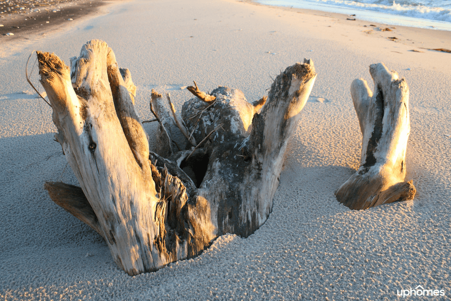 Beach in Chesapeake Virginia