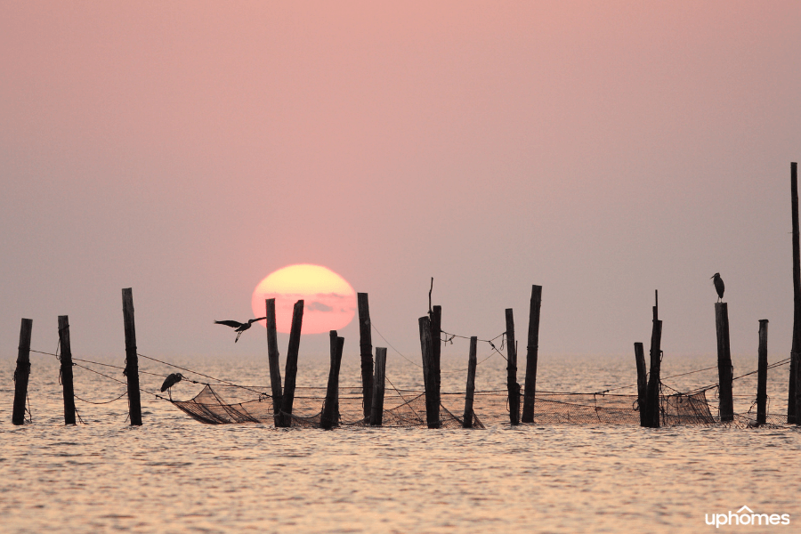 Chesapeake Virginia beach at sunset overlooking the water with a seagull flying 