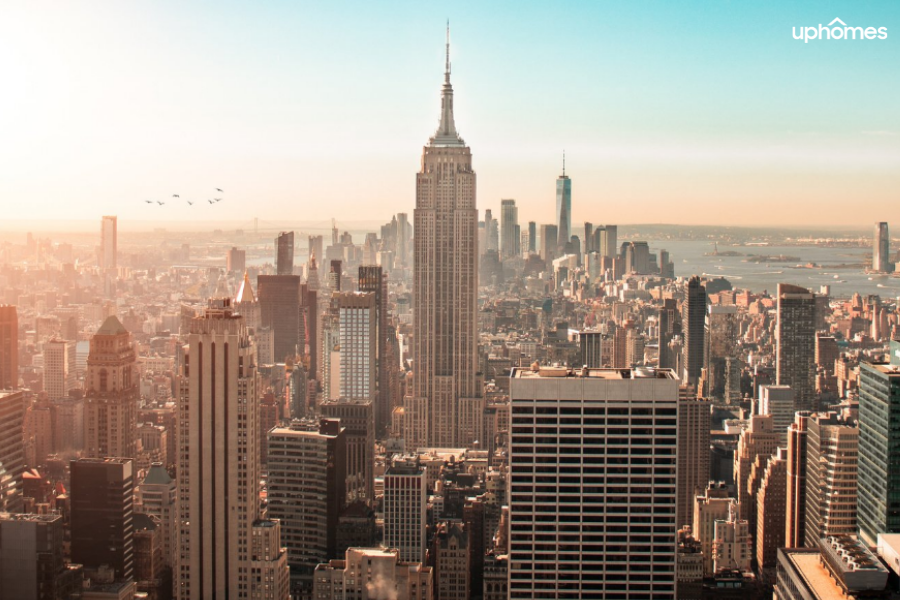 Day time photo of empire state building and skyline of New York City with birds flying