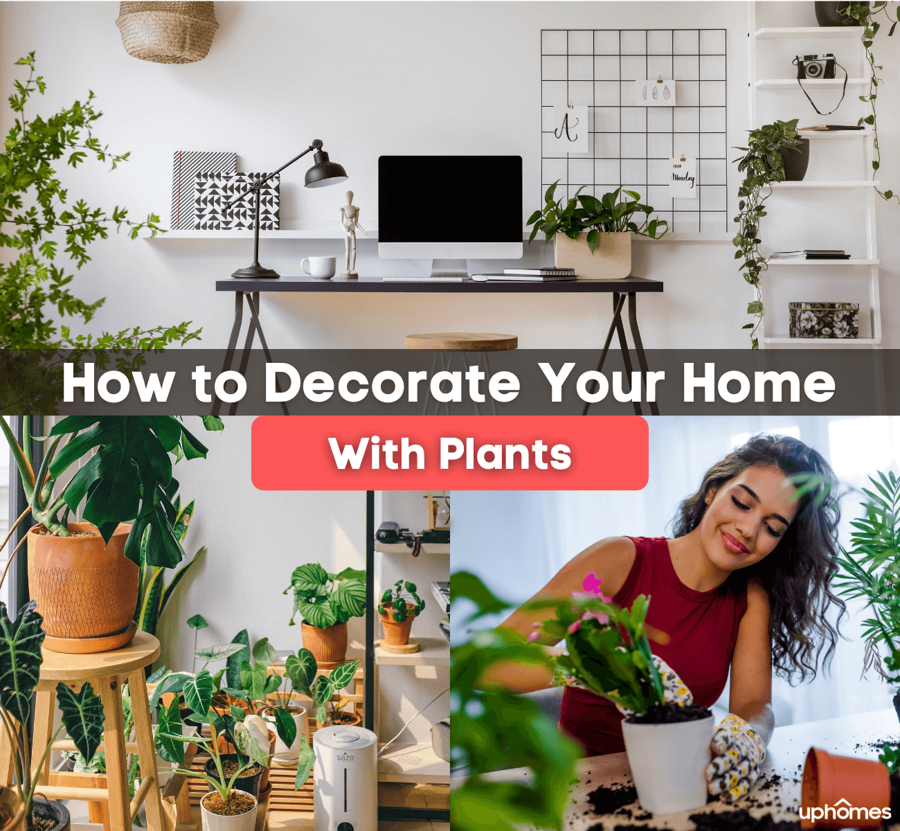 How To Decorate Your Home With Plants