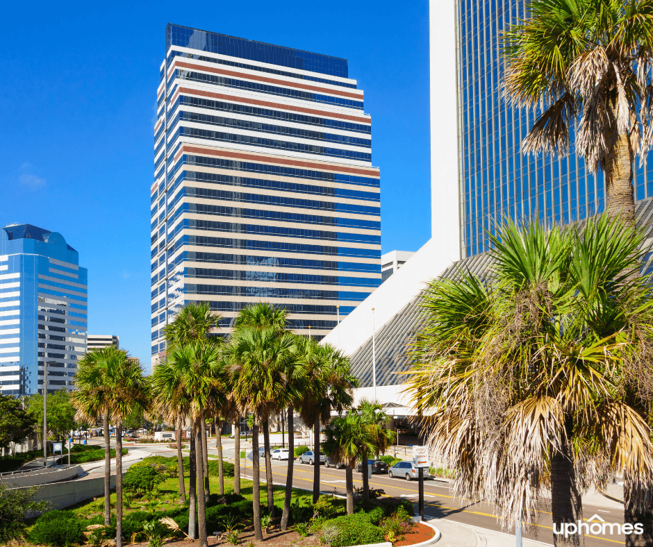 Downtown Jacksonville on a beautiful day with trees in the foreground and buildings in the background