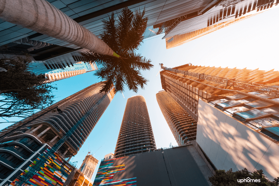 Downtown Miami Florida with buildings and palm tree at a ground angle looking up towards the sky