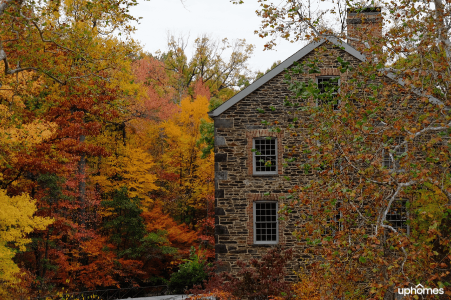 The season of fall in New York as the leaves change colors to red yellow orange