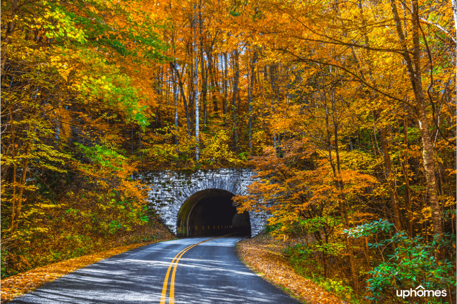 Back road in Asheville NC in the Fall with the leaves turning colors into red yellow and orange in a beautiful setting