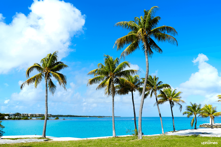A white sandy beach with a great view of the ocean and florida trees