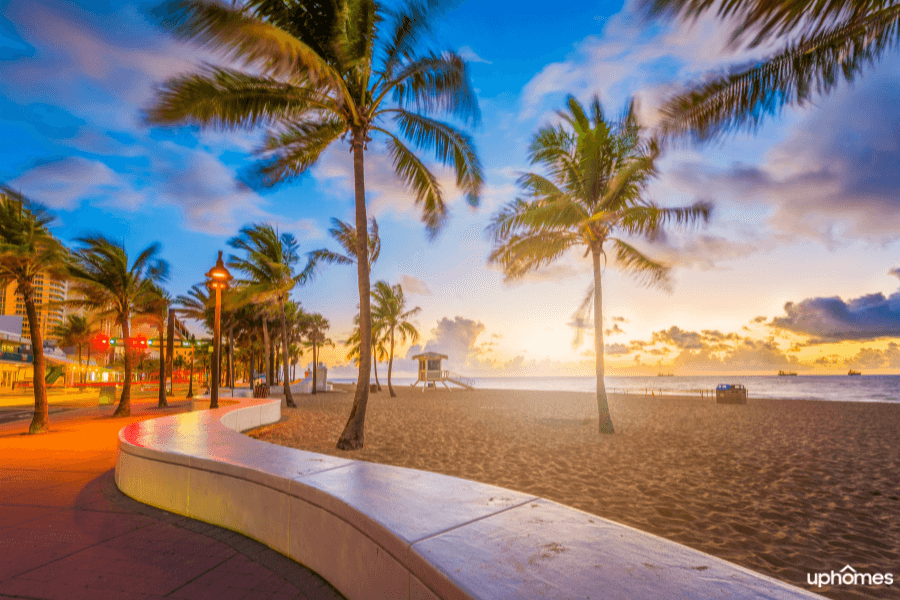 Fort Lauderdale sunset on the boardwalk with palm trees and the beaches in the background