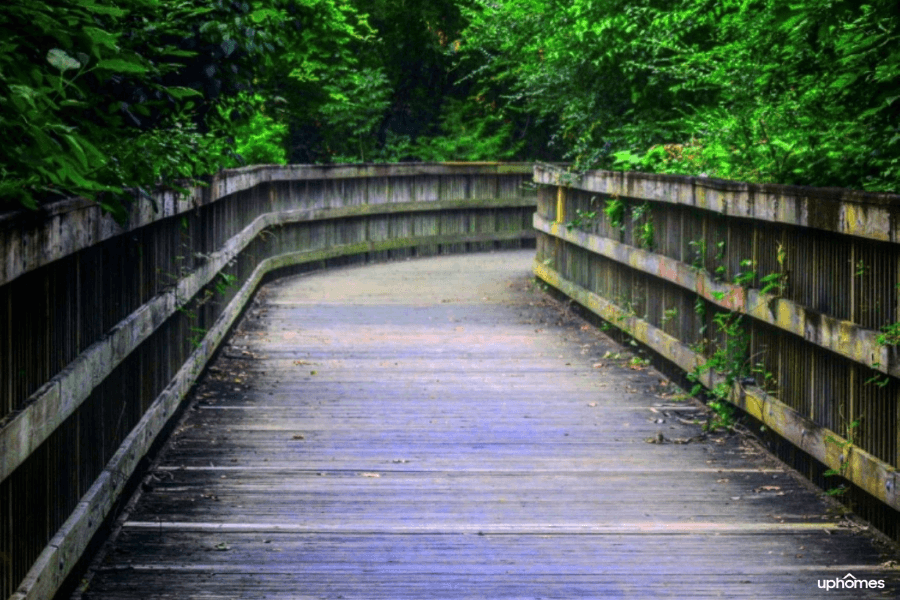 Greenville, NC Nature Hike and Walking Trails for those looking for things to do in Greenville!