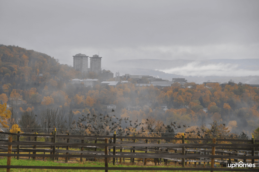A photo of the city skyline of Ithaca, NY with fog from an area far away with trees