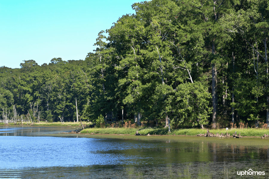 A scenic lake in a park located in Newport News VA 