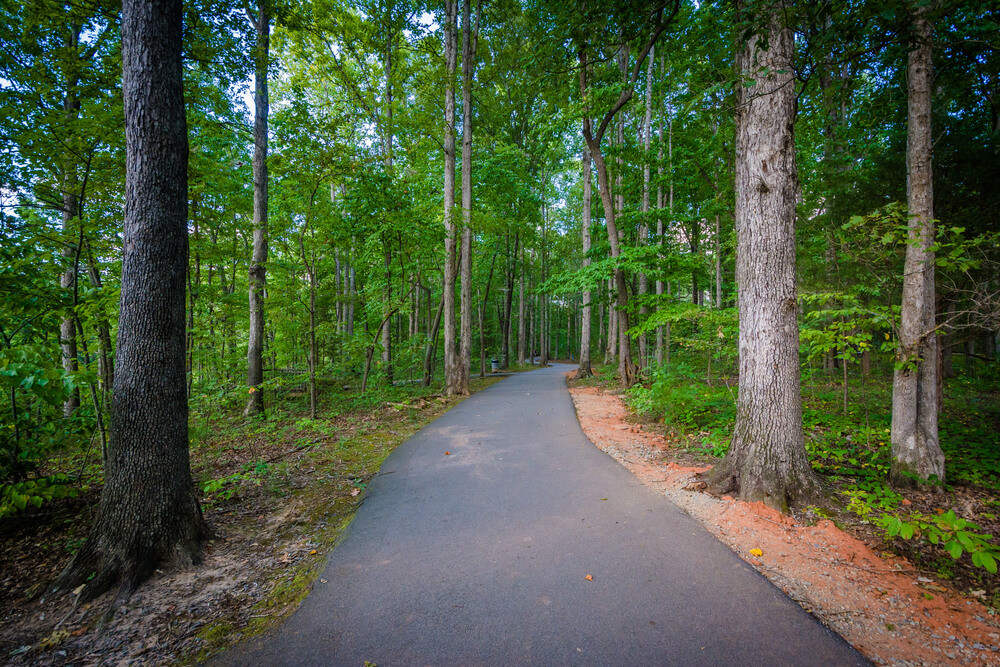 Mooresville, NC things to do - Lake Norman State Park Hiking Trails