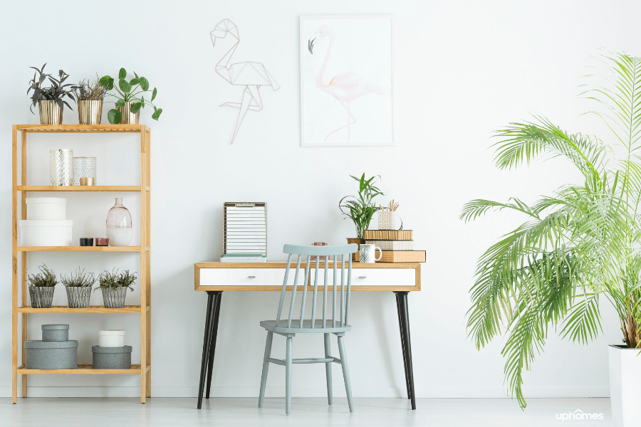 Bright room in home with beautiful house plants that add to the vibe