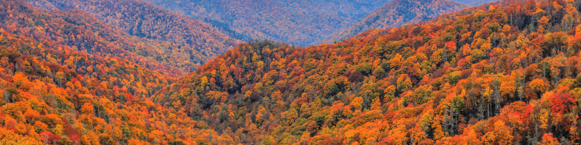 Mountains in Asheville NC - Best Places to live in North Carolina