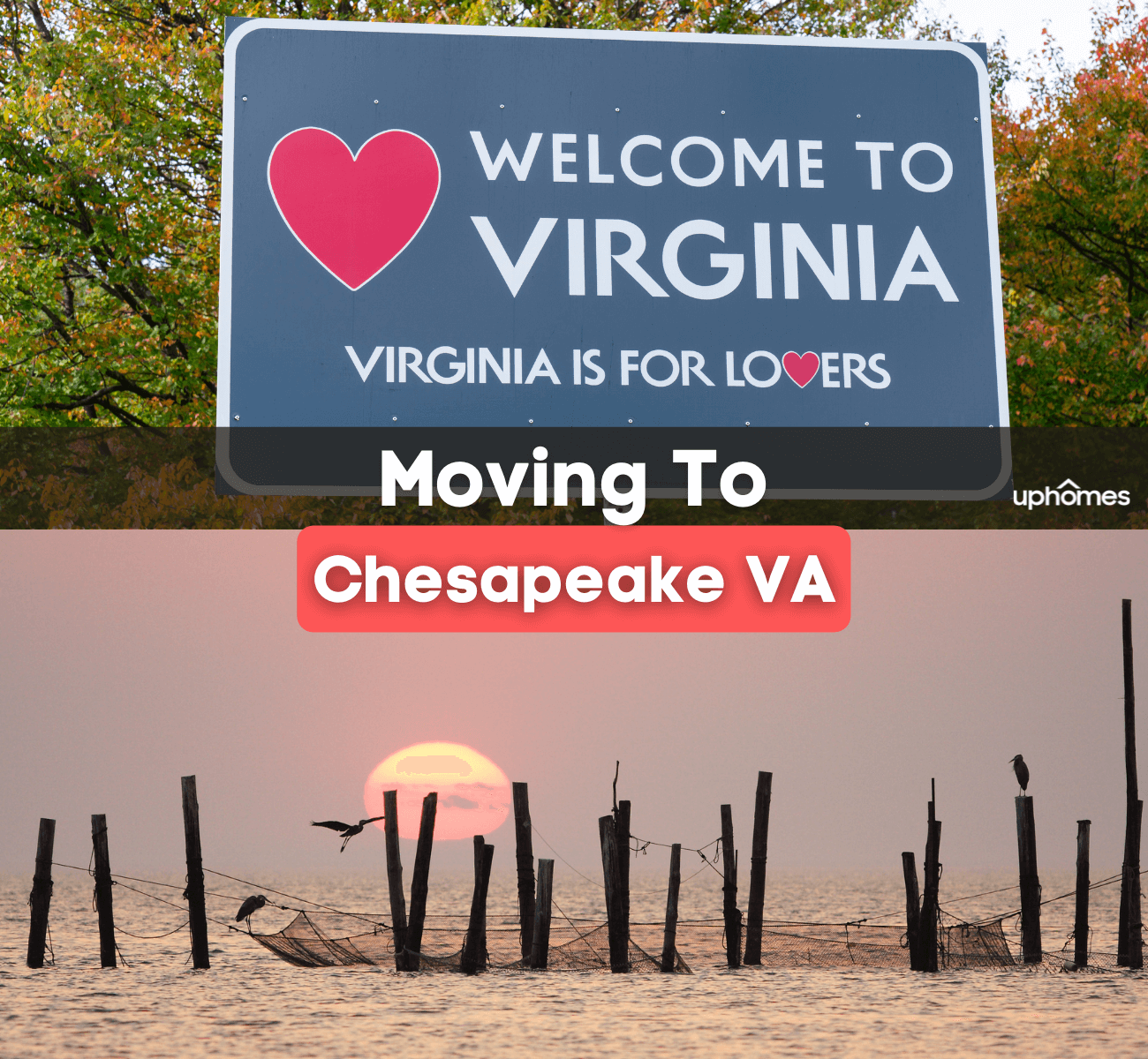 13 Things to Know Before Moving to Chesapeake VA