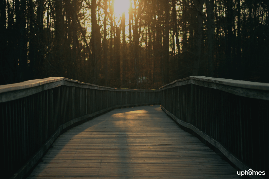 Newport News Park with a wood bridge leading you on your hike