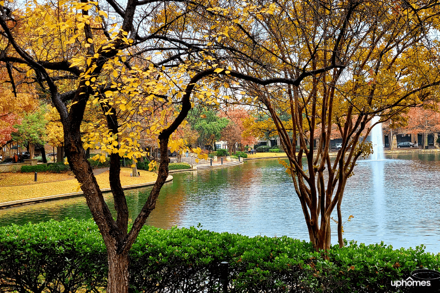A Plano TX park during the fall time when the leaves begin to change colors