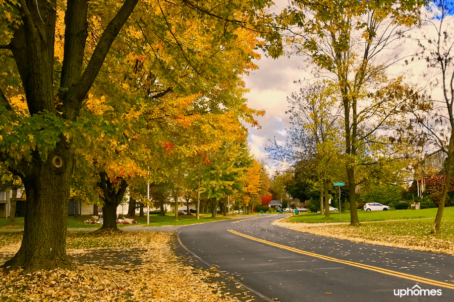 Rochester NY in the fall time with the leaves falling and changing colors