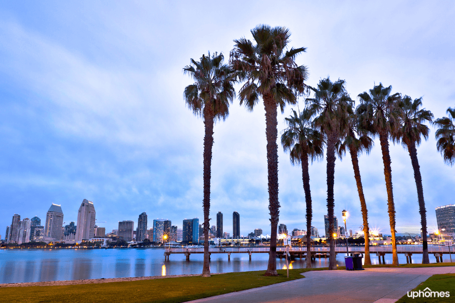 Downtown San Diego skyline with trees in the foreground and a sunset in the background