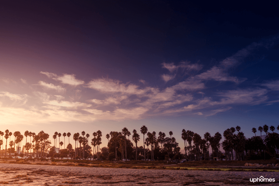 Santa Barbara, CA beach with the sun setting and beautiful palm trees along the beach and water