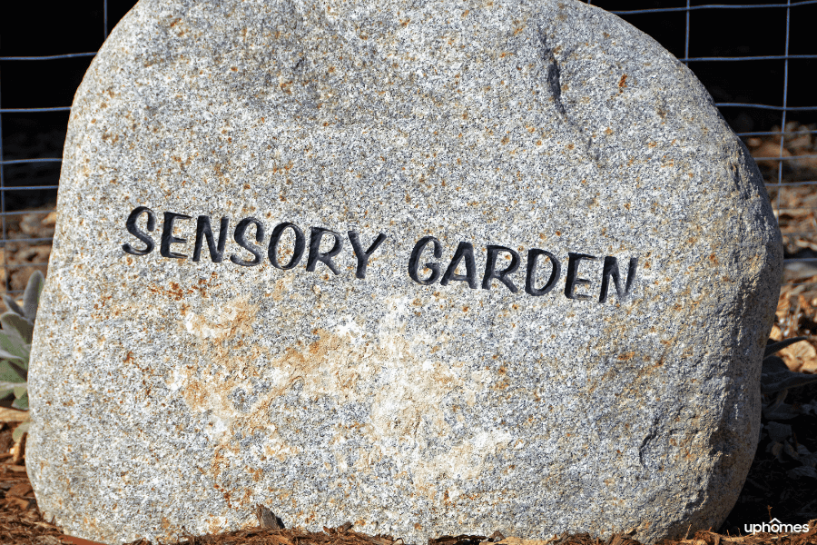 Image of a sensory gardena and rock engraved 'Sensory Garden' - A sensory garden that is safe and outdoors which gives place to expand and by bringing these plants indoors you will incorporate all of the five senses.