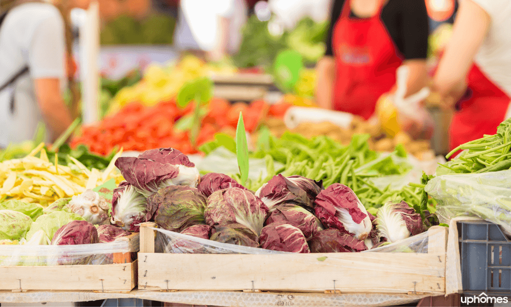 Staycation Idea - Visit your Local Farmers Market!