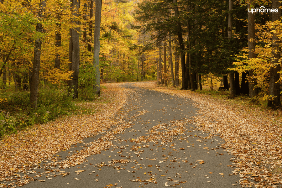 Neighborhood in Syracuse during the fall season