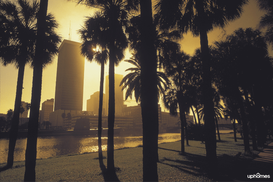 Sunset in Tampa with buildings in the background in a black white and yellow scene