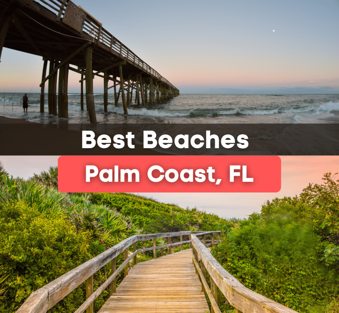 10 Best Beaches Near Palm Coast Fl
