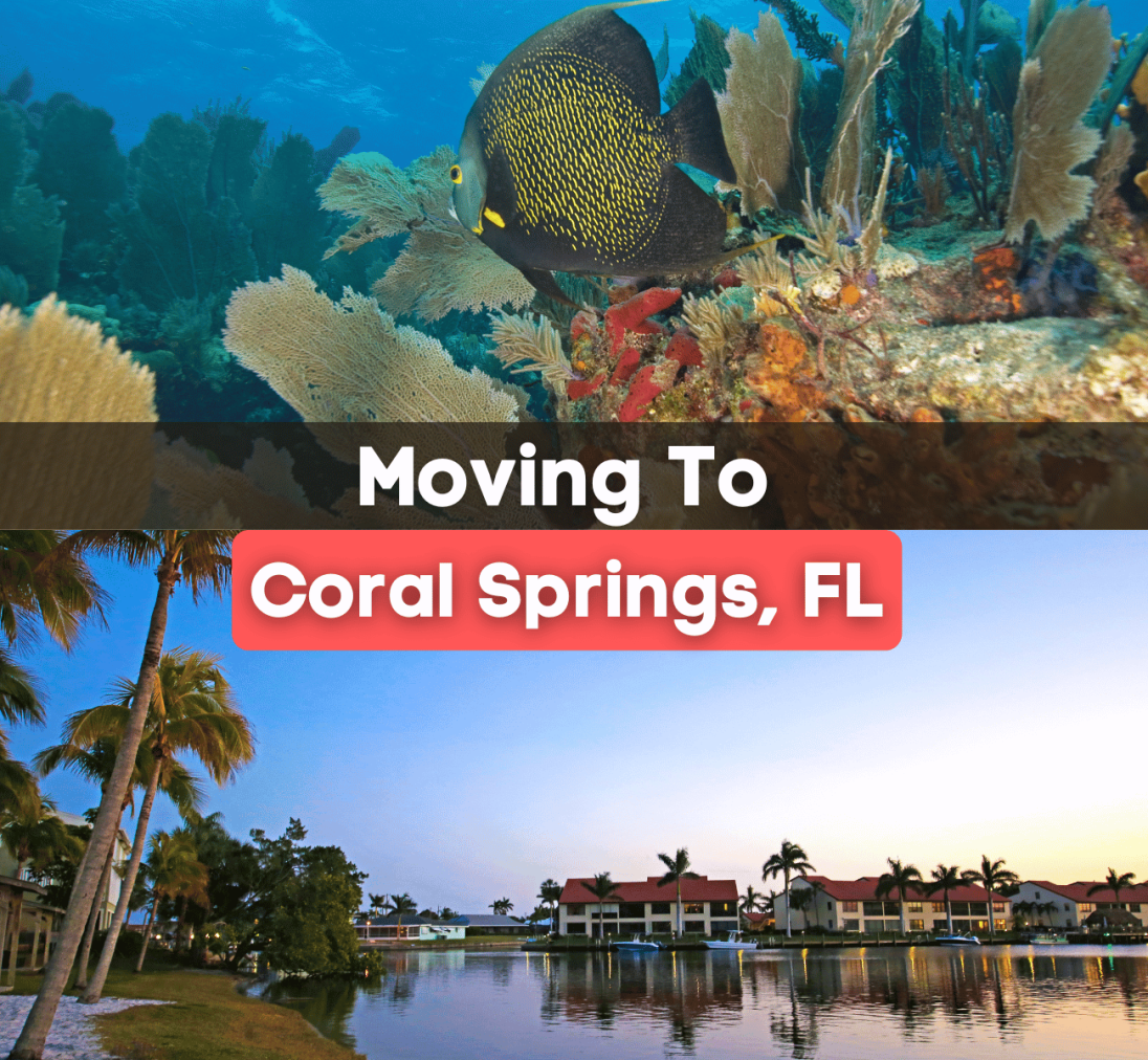 travel agency in coral springs