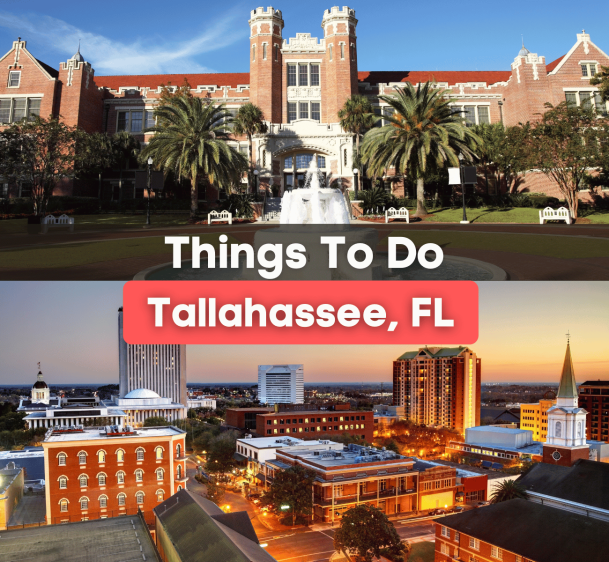7 Best Things To Do in Tallahassee, FL