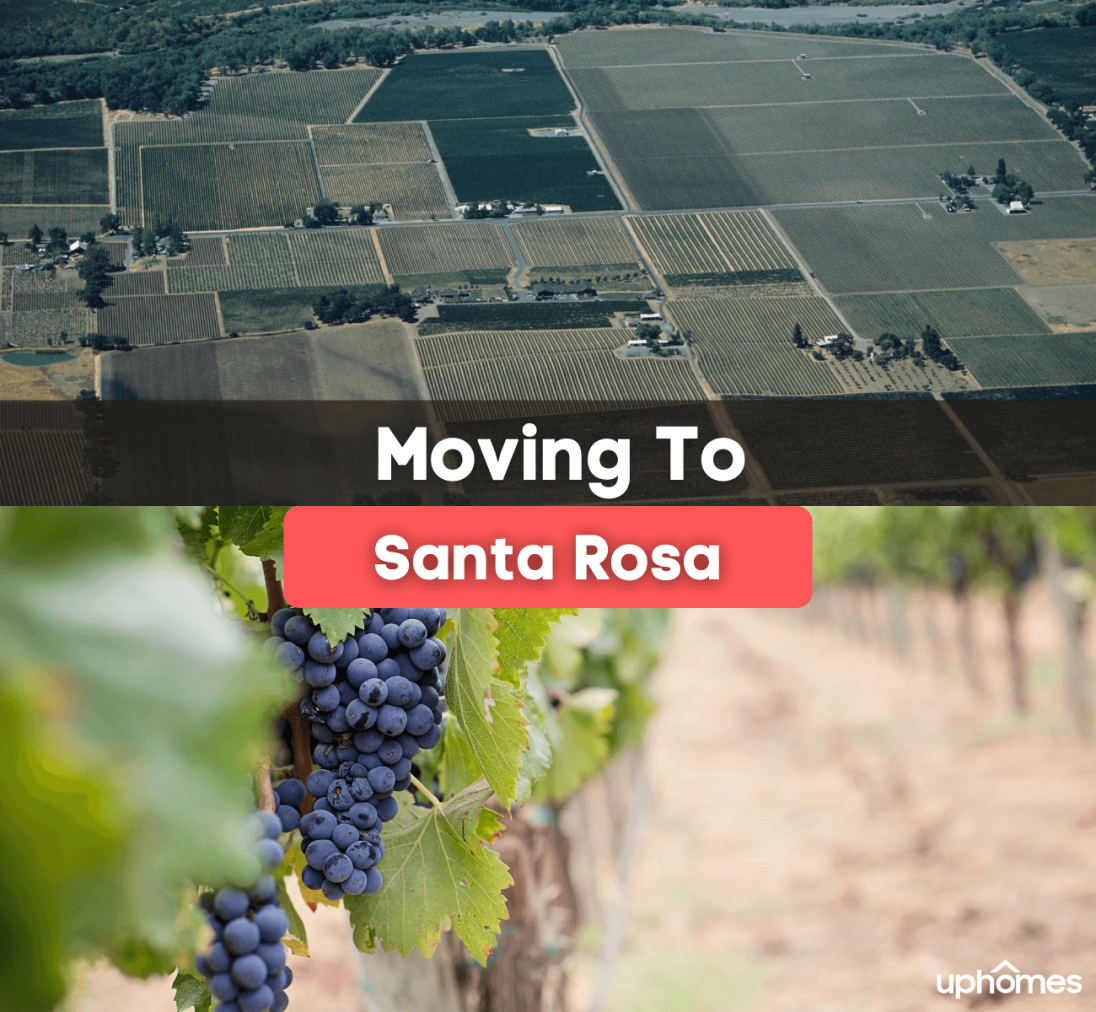 Life in Santa Rosa, CA: 7 Things to Know BEFORE Moving to Santa Rosa, CA