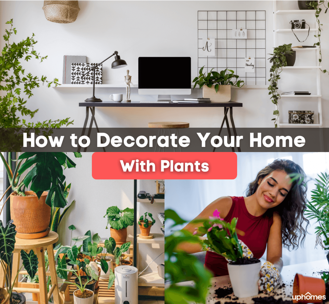 The Power of Plants in Home Decor: How to Decorate With Plants