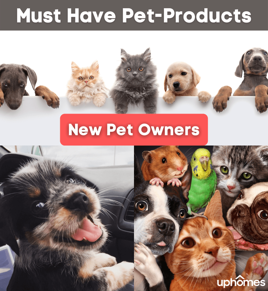 Pet Supplies Must-haves for New Dog Owners