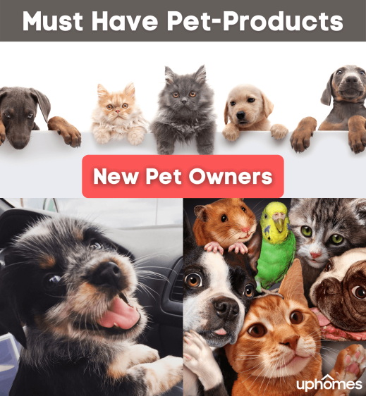 Must Have Pet-Products for New Pet Owners