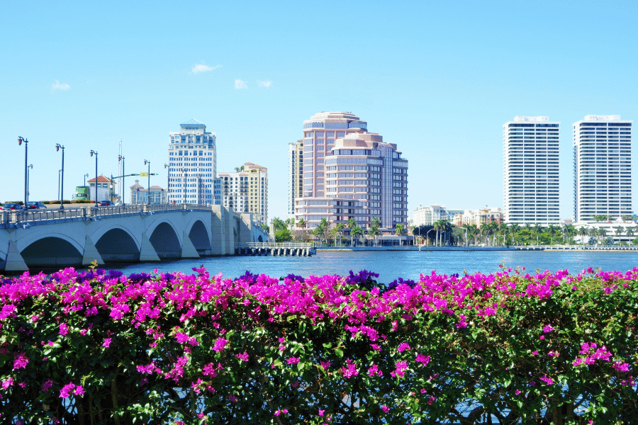 Waterway in West Palm Beach, FL on a sunny day with beautiful purple flowers