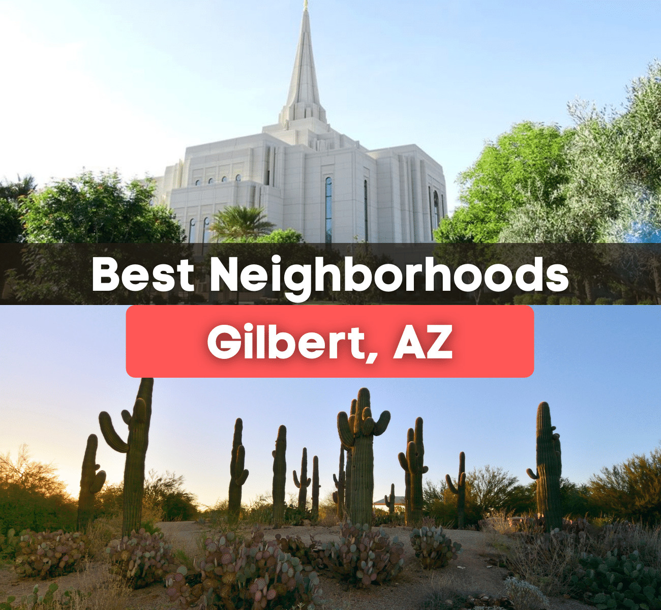 Gilbert Arizona Temple on a sunny day and beautiful sunset with cacti in the Sonoran Desert