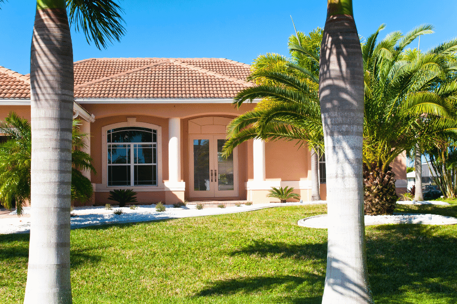 Florida home palm tree nice home neighborhood