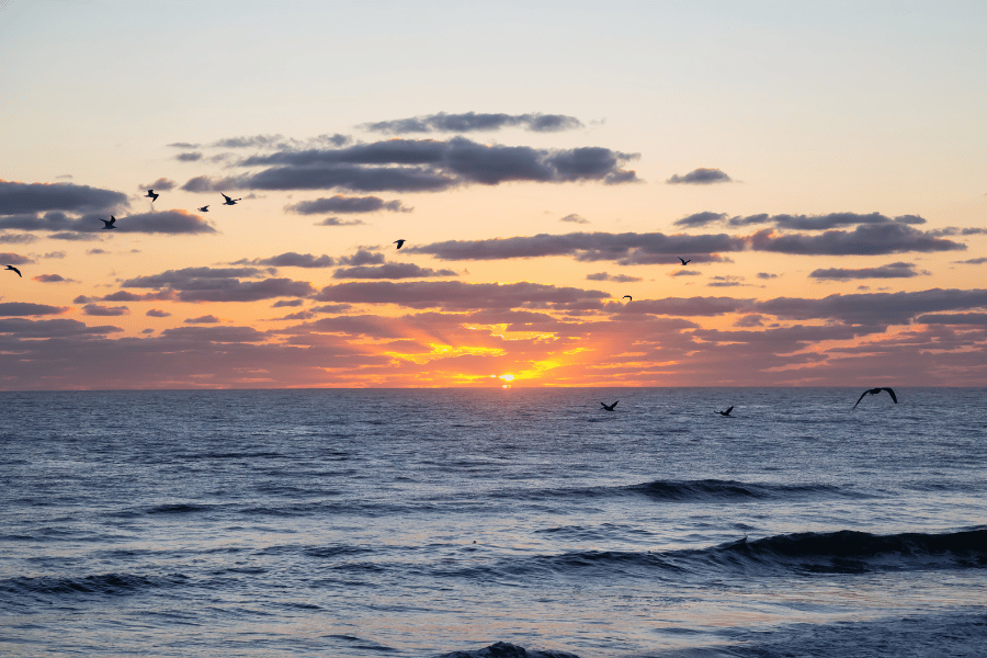 Beautiful orange sunset over the Atlantic Ocean with birds in Daytona Beach, FL 