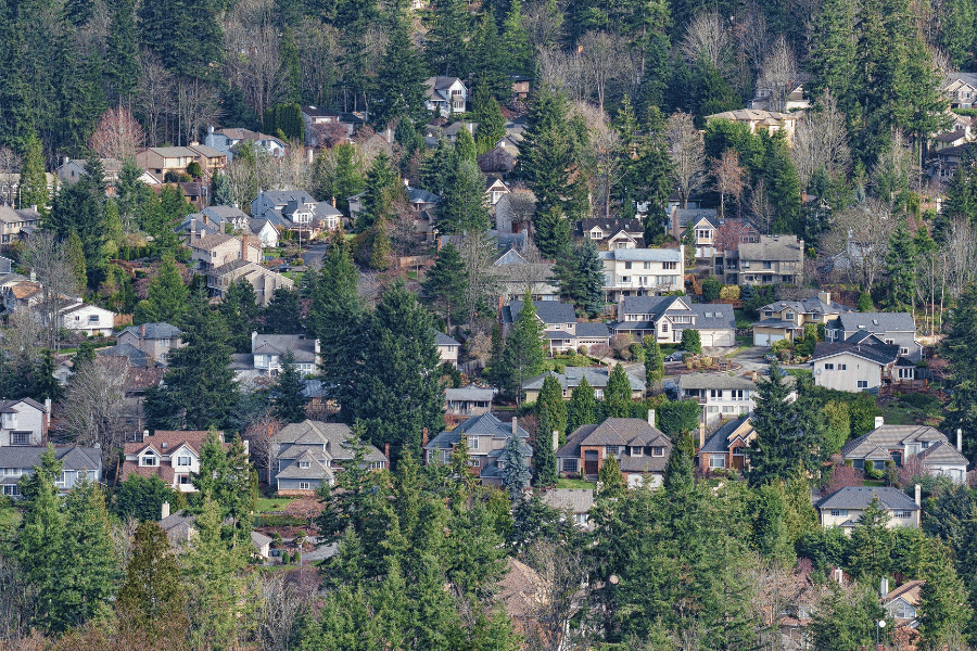 Homes and trees in Bellevue, WA 