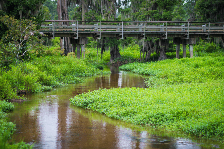 Phinizy Swamp Nature Park with stream and walking bridge 