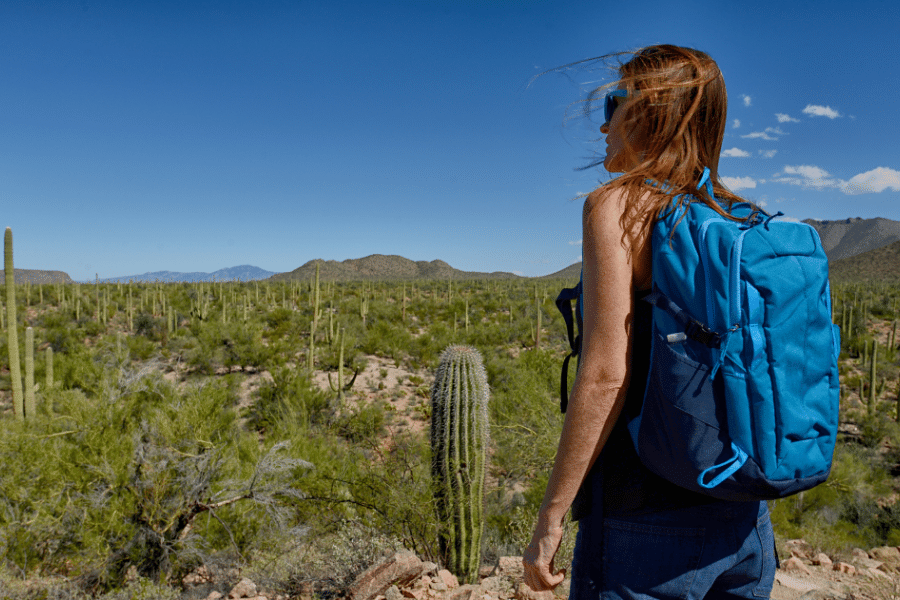 A woman hiking in the desert with cacti during a sunny day 