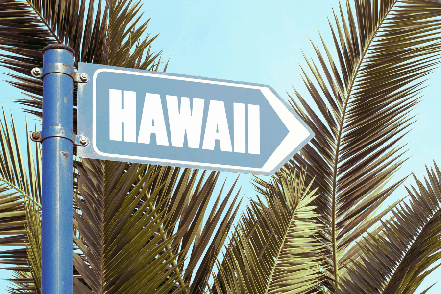 Blue Hawaii sign with palm fronds in the background