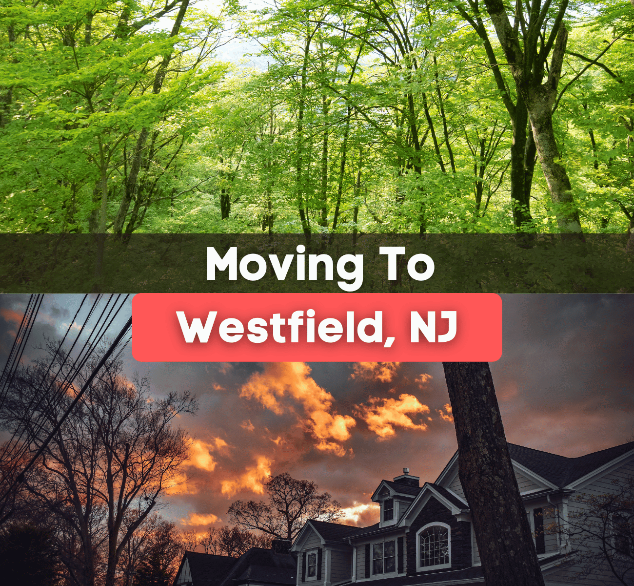moving to Westfield, NJ graphic with wooded area and sunset sky