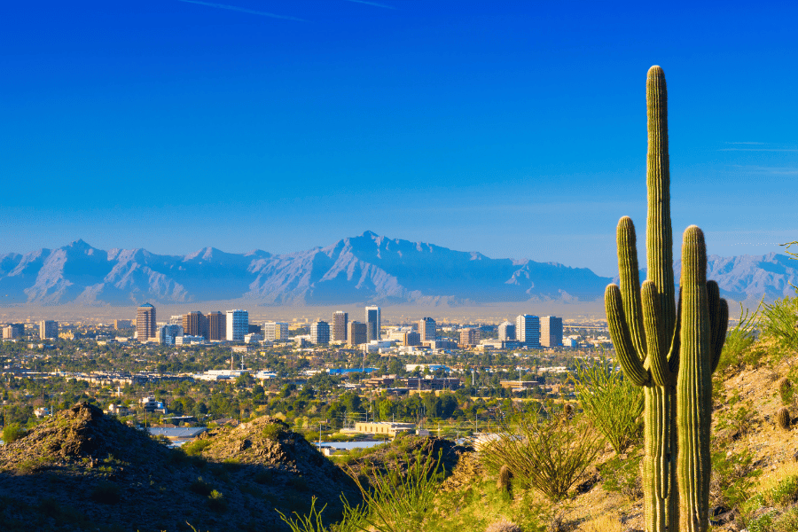 Phoenix, AZ city view with cactus and mountains in the background