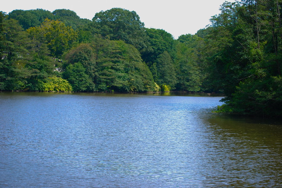 Cloves Lake Park in Staten Island, NY with lake and green trees